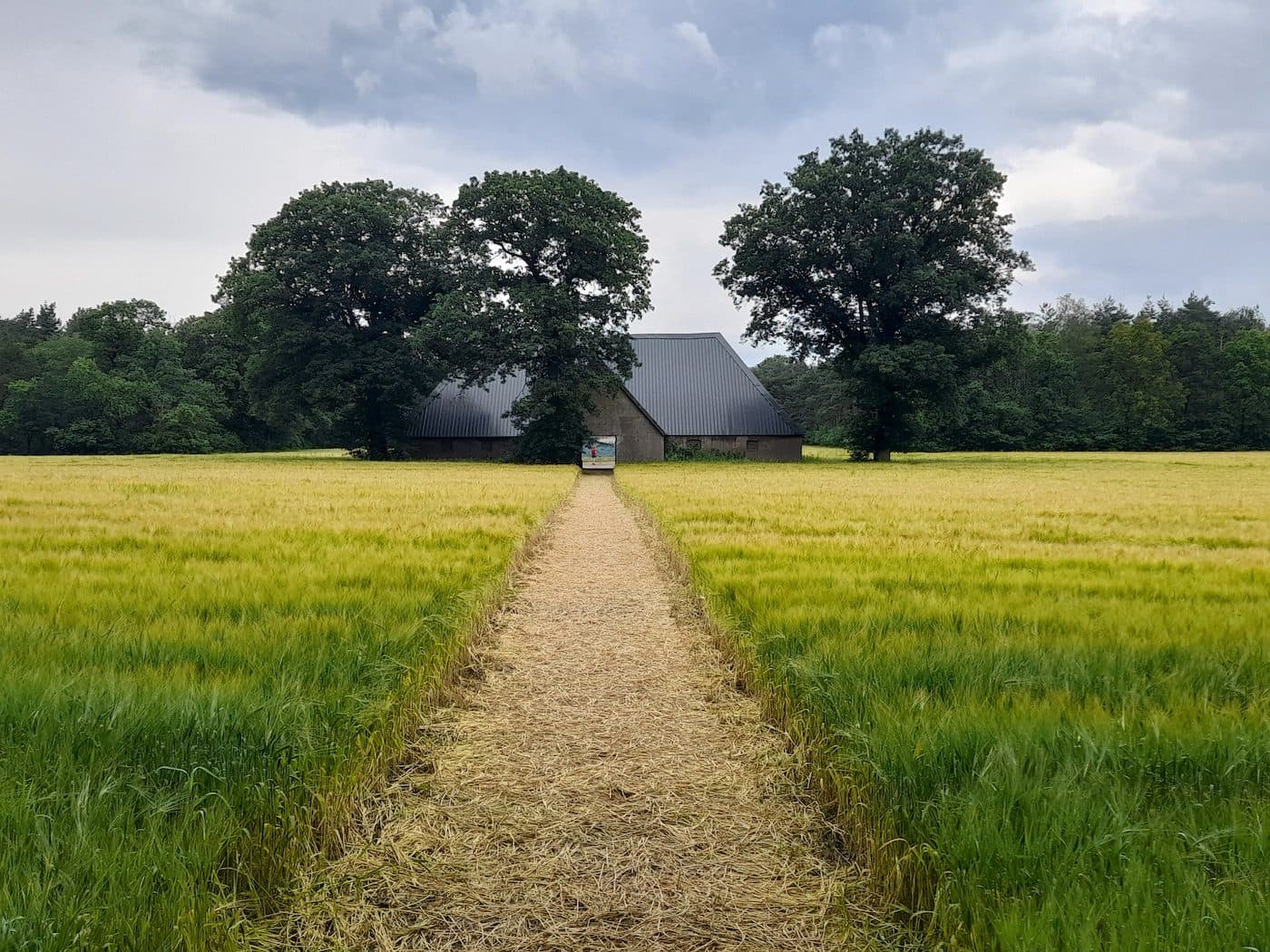 sonsbeek20→24: force times distance