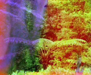 Gypsum Gallery_Fate Brought 02